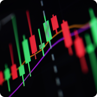 WiseGold Risk Management - Funds verification